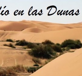 Desafío en las dunas 2014