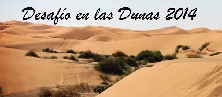 Desafío en las dunas 2014